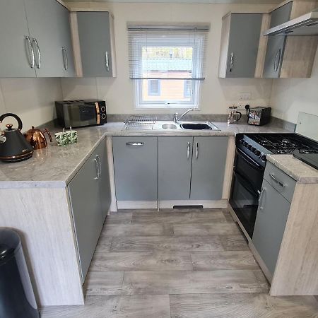 The Ceredigion - Plot 26, Woodlands Lodge Retreat, New Quay, West Wales Llanina エクステリア 写真