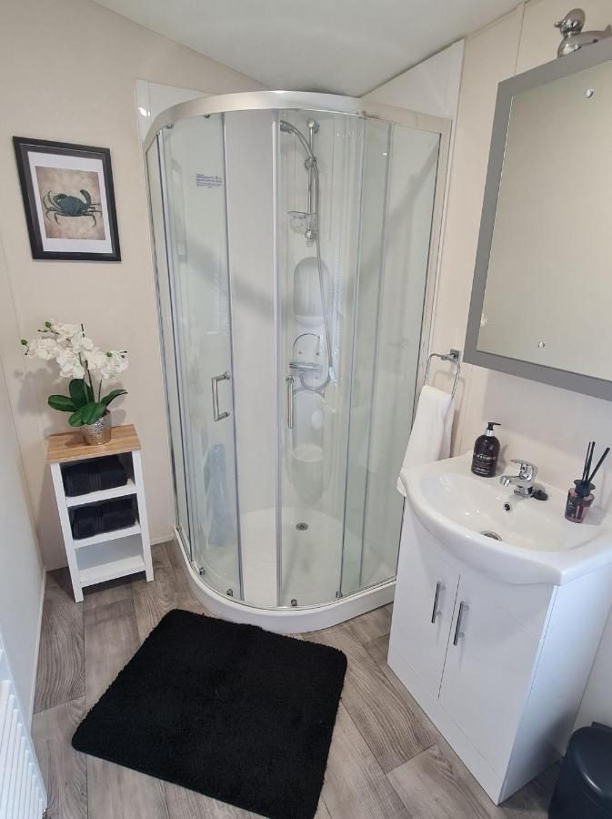 The Ceredigion - Plot 26, Woodlands Lodge Retreat, New Quay, West Wales Llanina エクステリア 写真